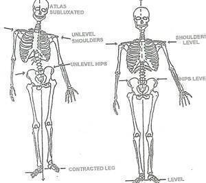 Why Chiropractic - Atlas Chiropractic & Nutrition